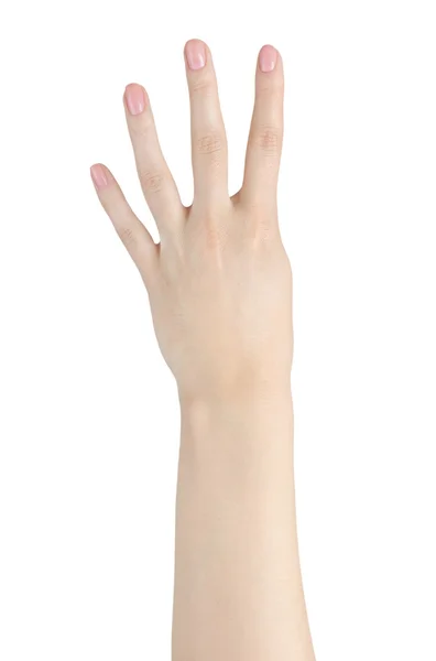 Kadın eli — Stok fotoğraf