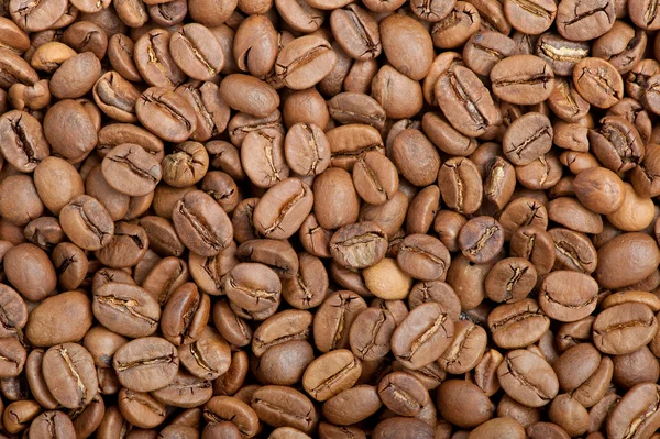 Coffee beans — Stock Photo, Image