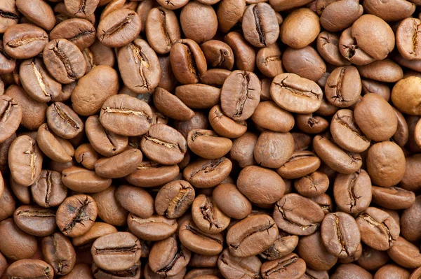 Coffee beans — Stock Photo, Image