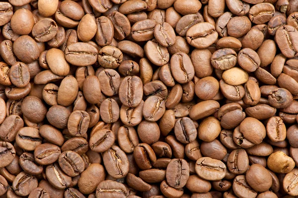 Kaffeebohnen — Stockfoto