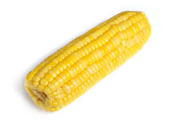 Ear of corn — Stock Photo, Image