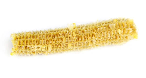 Полностью съеденная кукуруза в початках — стоковое фото