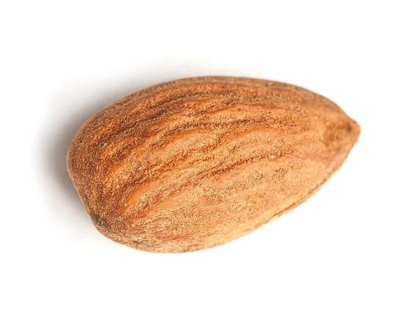 Single almond — Stock Photo, Image