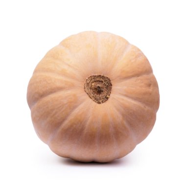 Beyaz arka planda izole edilmiş uzun olgun balkabağı