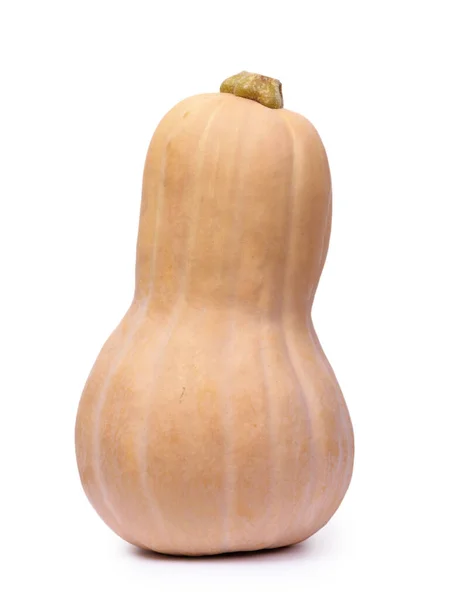 Lunga Zucca Matura Isolata Sfondo Bianco — Foto Stock