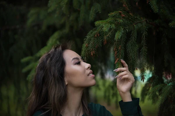 Genç Kadın Parkta Köknar Ağacının Dalına Dokundu Stok Resim