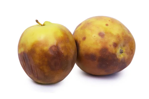 Жовте Гниле Яблуко Ізольоване Білому Тлі Стокове Фото
