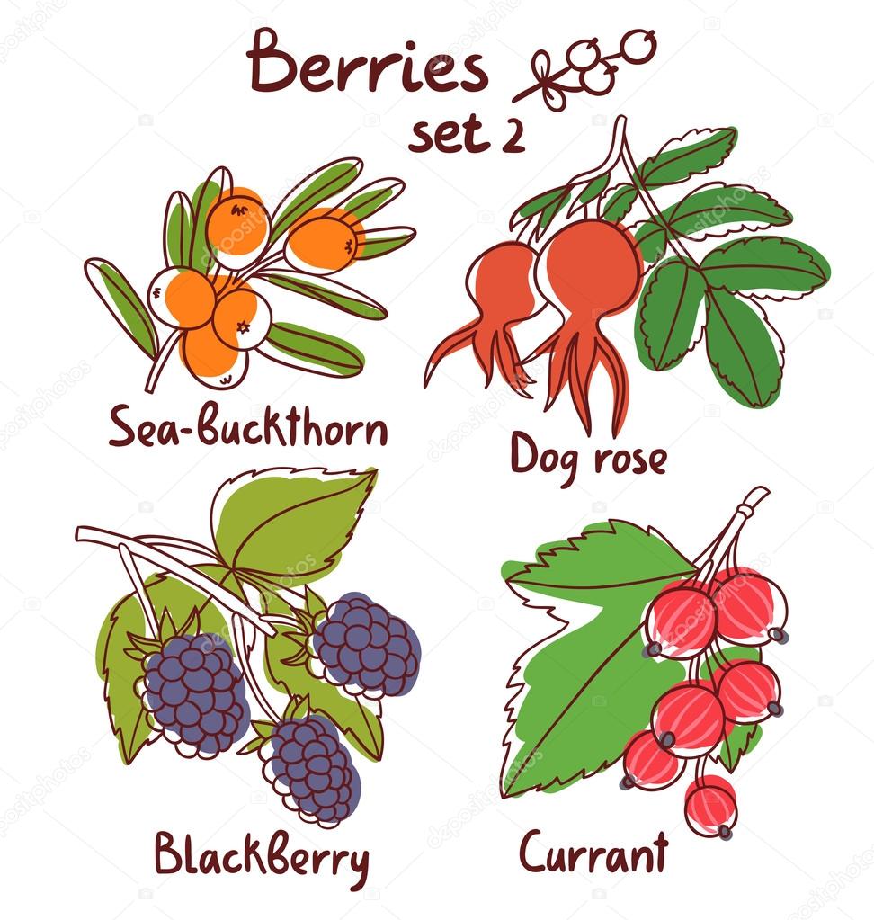 Berries set 2