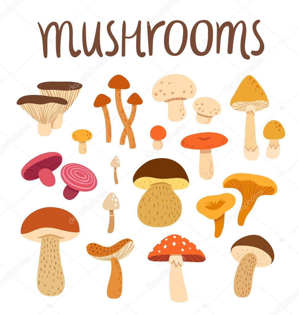 Mushrooms