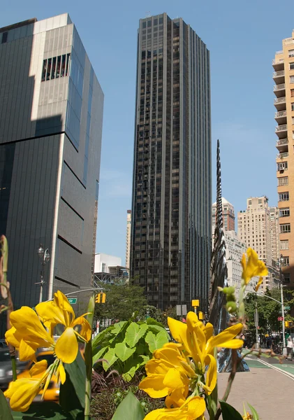 Skyscraper and yellow flower — Stock Photo, Image