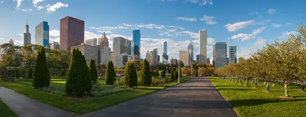 Arranha-céus de Chicago do Millennium Park — Fotografia de Stock