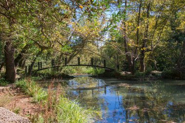 Parktaki yaya köprüsü