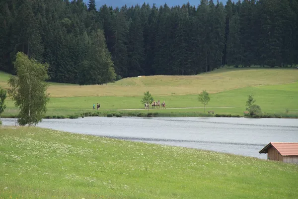 View of the Alps in Allgäu — Stock fotografie