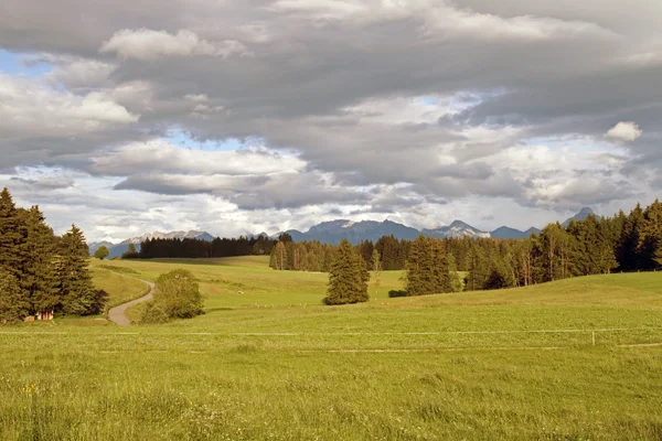 Vista de los Alpes en Allge.net u — Foto de Stock