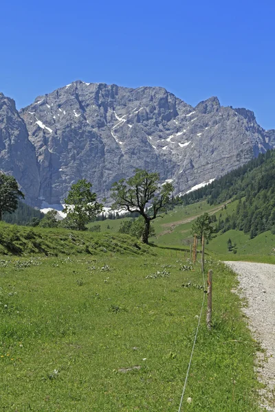 Кленовый пол в Австрии — стоковое фото