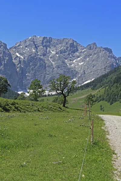 Podłoga klon w Austrii — Zdjęcie stockowe