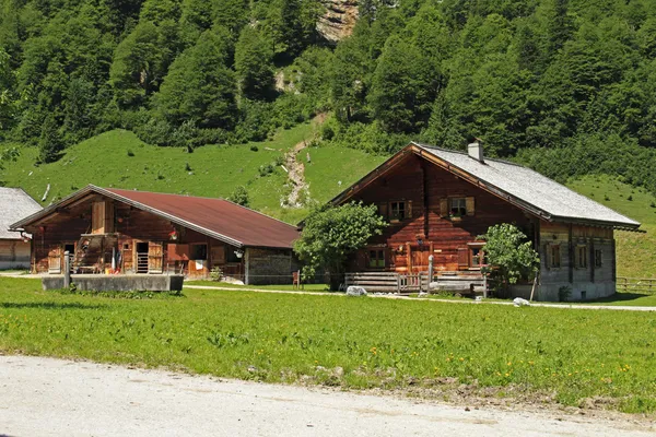 Bauernhof — Stockfoto