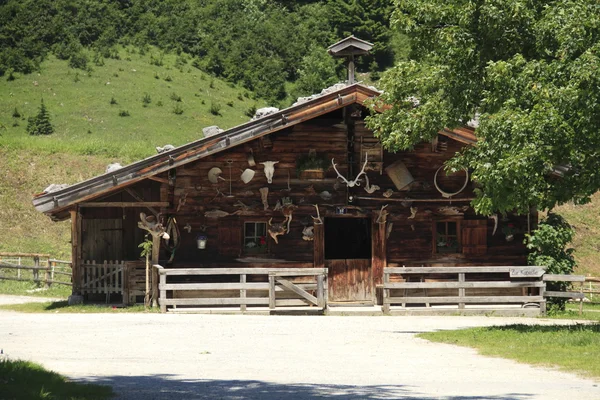 Bondgård i lönn ryggen — Stockfoto