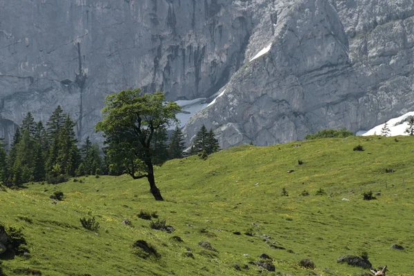 Piano in acero in Austria — Foto Stock