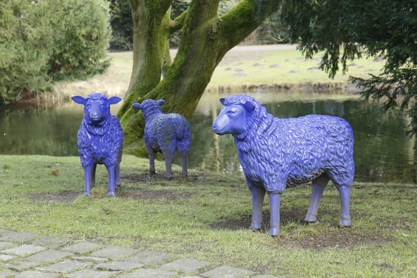 Blue sheep — Stock Photo, Image