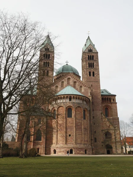 Dom zu Speyer — Stockfoto
