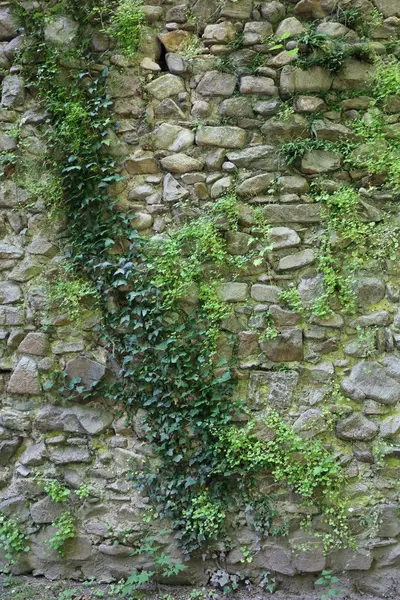 Stone wall — Stock Photo, Image