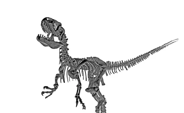 Tyrannosaur rex tezgahları — Stok fotoğraf