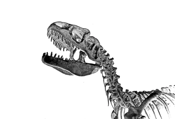 Tyrannosaur 2 — Stock Photo, Image