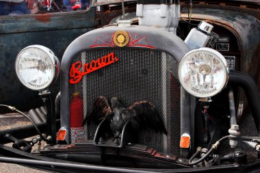 kuş ile antika araba