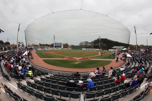 Ballpark pellicani — Foto Stock