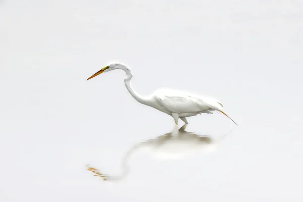 O pescador — Fotografia de Stock