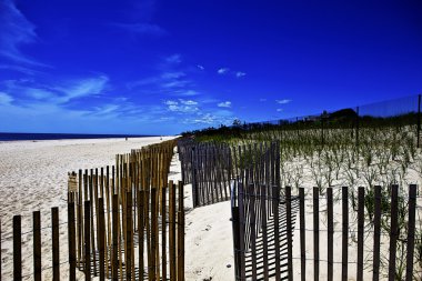 dream beach