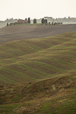 Siena ve ülke
