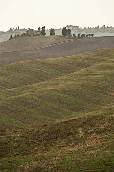 Siena y su país — Foto de Stock