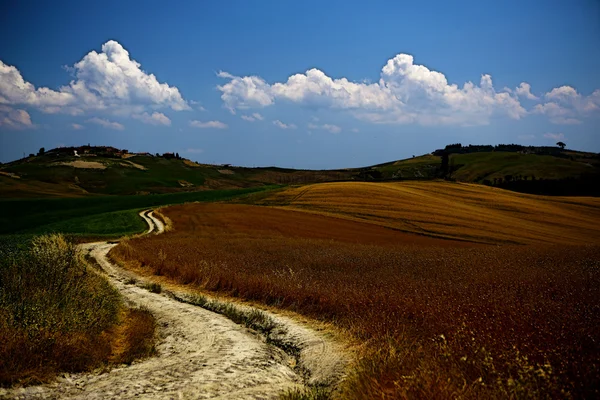 País de Siena — Foto de Stock