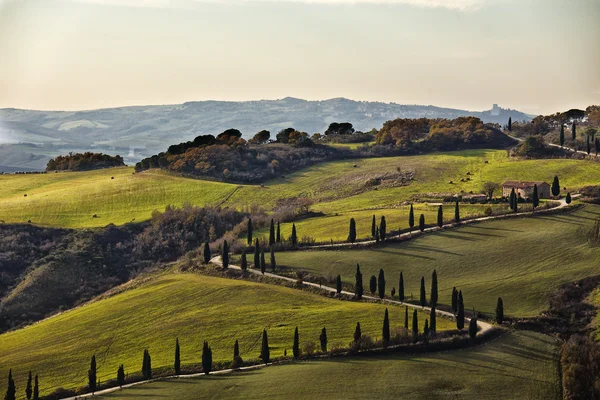 Paisaje rural en Toscana en Italia — Foto de Stock