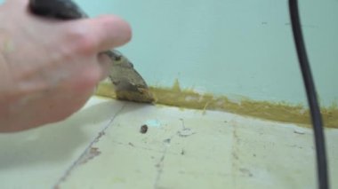 Kadın eli montaj tutkalı ve spatulayla evini onarıyor.