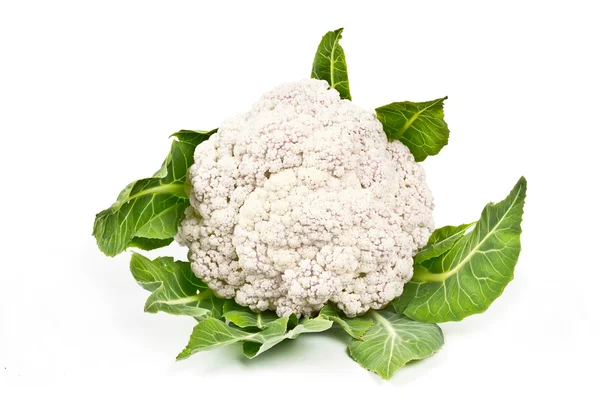 Vegetable cauliflower isolated on white background — Stock Photo, Image