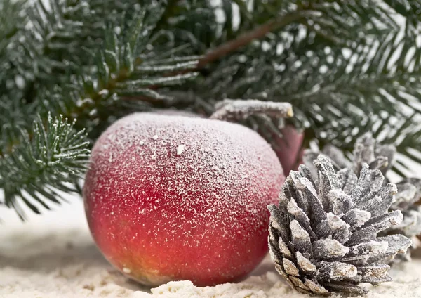 Manzana roja, rama de abeto y cono de pino — Foto de Stock