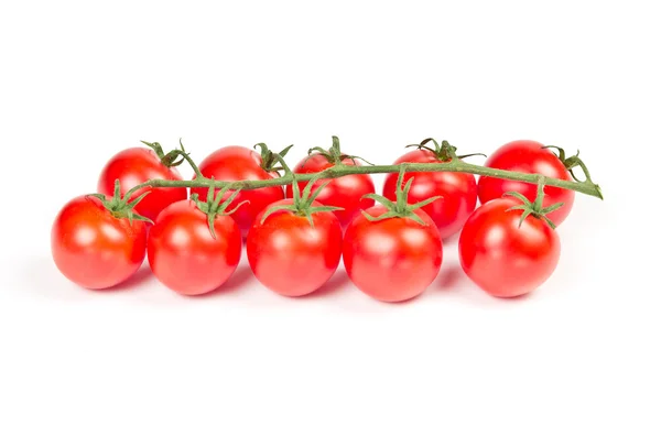 Tomates cerises sur une branche — Photo