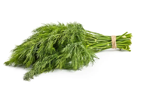 Bunch of dill — Stock Photo, Image