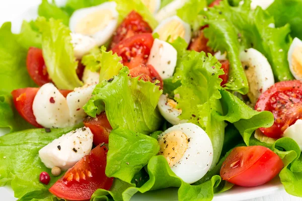 Salat med ferske tomater – stockfoto