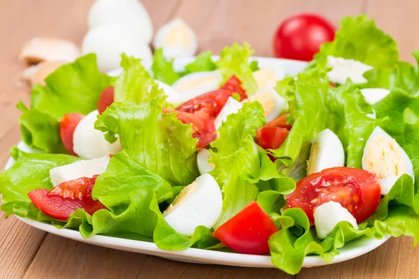 Salat med ferske tomater – stockfoto