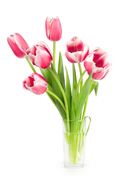 Bouquet of tulips in a vase — Stock Photo, Image