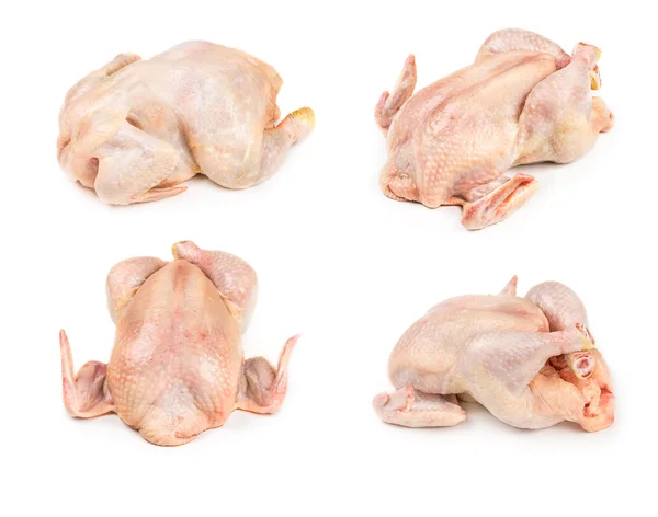 Set de pollo entero crudo — Foto de Stock
