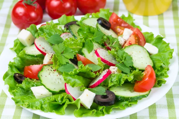Salade aux légumes frais — Photo