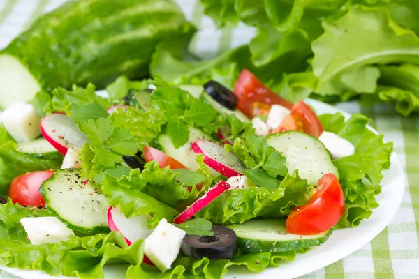 Salat mit Tomaten — Stockfoto