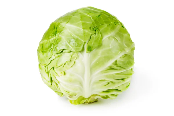 Cabbage isolated on white — Stock Photo, Image