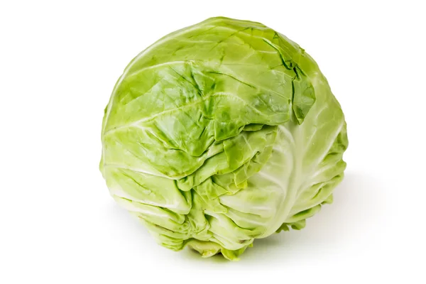 Single cabbage isolated — Stock Photo, Image
