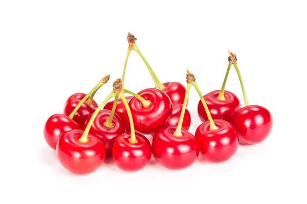 Ripe cherries on a bunch — Stock Photo, Image